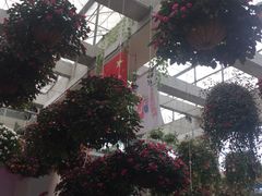 -广州花之恋城堡酒店