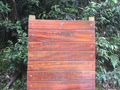 -十八棵（老龙井）御茶园(老龙井店)