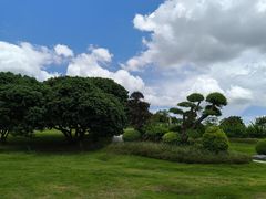 -红花山公园
