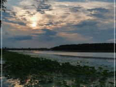 -丁香湖公园