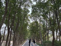-同里国家湿地公园
