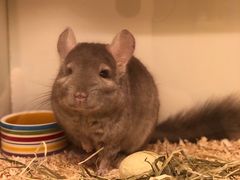 -龙猫仔乐园(惠福东路店)