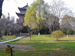 -堤角公园