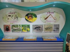 -上海昆虫博物馆