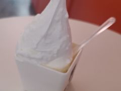 -野人先生现做冰淇淋(北京王府井东方新天地店)