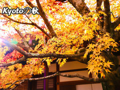 -常寂光寺