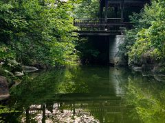 -八大山人梅湖景区