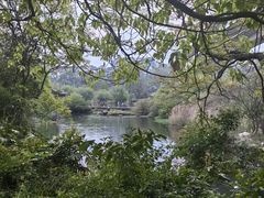 -贵阳市花溪国家城市湿地公园