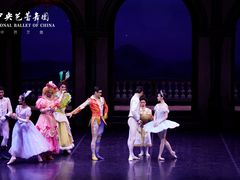 -中央芭蕾舞团·中芭艺蕾(酒仙桥明星校区)