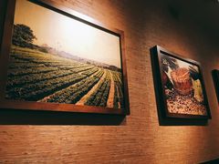 -星巴克(陆家嘴软件园店)