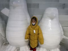 -杭州少年儿童公园