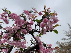 -玄武湖景区-情侣园游乐场