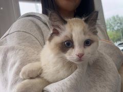 -芭比堂动物医院·CT·微创中心(新顺分院)