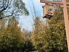 -崇阳三特浪口温泉
