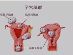 -御灸堂古法艾灸(东坝店)