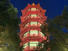 -绳金塔