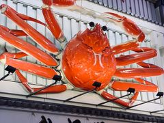 -蟹道乐(道顿堀本店)