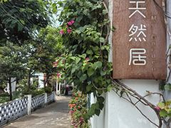 -天然居(伦教店)