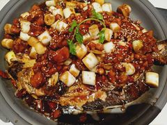 宫保鸡丁烤鱼（清江鱼/斤）-锦尚阁烤鱼(望京新荟城店)