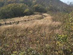 -野三坡百草畔景区