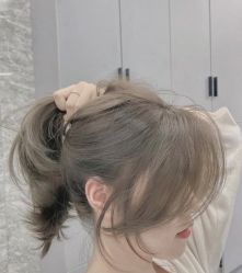 -IDOL-PLUS