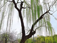 -西湖天地