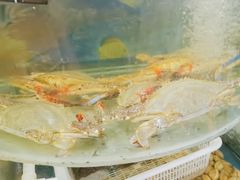 -鑫渔港海鲜本地菜·山海关浑锅(东戴河店)