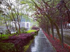 -毛泽东同志旧居