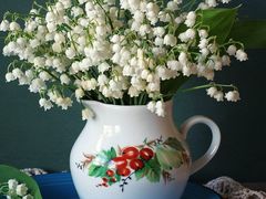 -阿英煲(凉城路店)