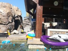 -裕龙汤泉