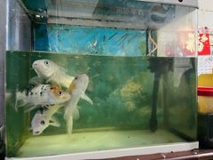 -满口香饭店