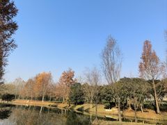 -西安浐灞国家湿地公园