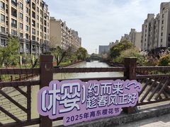 -高东镇樱花园