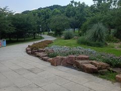 -苏州上方山国家森林公园
