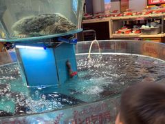 -魏铭鱼头捞饭(晋阳路店)