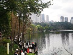 -重庆彩云湖湿地公园