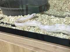 -藦茜花园宠物主题亲子互动体验馆(国顺东路店)