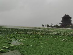 -重元寺香积厨素斋馆