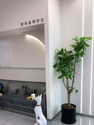 点击看大图 -MINX名珂斯·烫染形象设计
