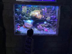 -左海海底世界
