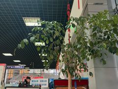 -南浦大桥长途旅游客运站