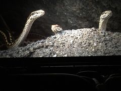 -万达影城(银兴菲林店)