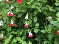 -沙河三洞古桥公园