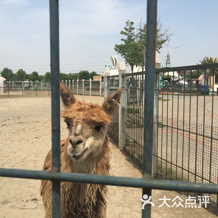 光合谷动物园