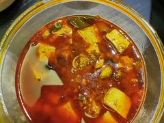 麻婆豆腐-易老妈蹄花.特色川菜(人民公园总店)