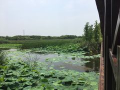 -同里国家湿地公园