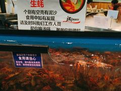 -遇上西雅图多融合海鲜自助餐厅(中房金谊广场店)