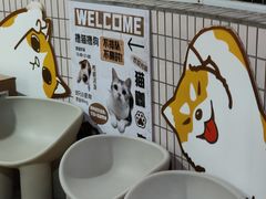 -有喵·猫咖·狗咖·40+猫狗有小奶狗(岗厦店)