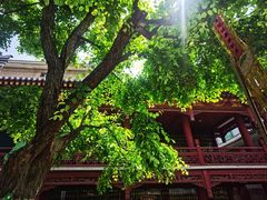 -罔极寺