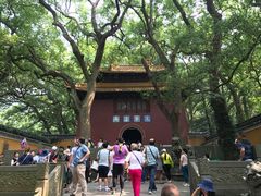 -普陀山风景名胜区-法雨禅寺